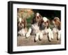 Four King Charles Cavalier Spaniel Puppies with Log-Adriano Bacchella-Framed Photographic Print