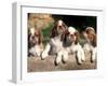 Four King Charles Cavalier Spaniel Puppies with Log-Adriano Bacchella-Framed Photographic Print