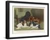 Four King Charles Spaniels One of Each Colour: 1. Blenheim 2. Black and Tan 3. Ruby 4. Tricolour-null-Framed Art Print