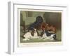 Four King Charles Spaniels One of Each Colour: 1. Blenheim 2. Black and Tan 3. Ruby 4. Tricolour-null-Framed Art Print