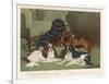 Four King Charles Spaniels One of Each Colour: 1. Blenheim 2. Black and Tan 3. Ruby 4. Tricolour-null-Framed Art Print