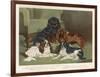 Four King Charles Spaniels One of Each Colour: 1. Blenheim 2. Black and Tan 3. Ruby 4. Tricolour-null-Framed Art Print