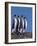 Four King Penguins in a Mating Ritual March, South Georgia Island-Charles Sleicher-Framed Photographic Print