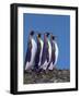 Four King Penguins in a Mating Ritual March, South Georgia Island-Charles Sleicher-Framed Photographic Print