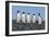 Four King Penguins-Howard Ruby-Framed Photographic Print