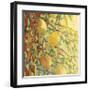 Four Lemons-Jennifer Lommers-Framed Giclee Print