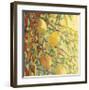 Four Lemons-Jennifer Lommers-Framed Giclee Print