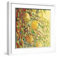 Four Lemons-Jennifer Lommers-Framed Giclee Print