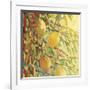 Four Lemons-Jennifer Lommers-Framed Giclee Print