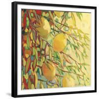 Four Lemons-Jennifer Lommers-Framed Giclee Print