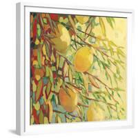 Four Lemons-Jennifer Lommers-Framed Giclee Print