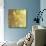 Four Lemons-Jennifer Lommers-Mounted Giclee Print displayed on a wall
