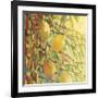 Four Lemons-Jennifer Lommers-Framed Giclee Print