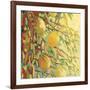 Four Lemons-Jennifer Lommers-Framed Giclee Print