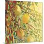 Four Lemons-Jennifer Lommers-Mounted Giclee Print