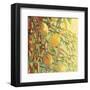 Four Lemons-Jennifer Lommers-Framed Art Print