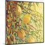 Four Lemons-Jennifer Lommers-Mounted Art Print