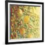 Four Lemons-Jennifer Lommers-Framed Art Print