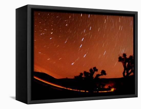 Four Leonid Meteors are Seen Streaking Through the Sky Over Joshua Tree National Park, Calif.-null-Framed Stretched Canvas