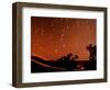 Four Leonid Meteors are Seen Streaking Through the Sky Over Joshua Tree National Park, Calif.-null-Framed Photographic Print