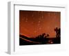 Four Leonid Meteors are Seen Streaking Through the Sky Over Joshua Tree National Park, Calif.-null-Framed Photographic Print