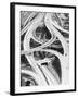 Four-Level Interchange at Turnpike-Philip Gendreau-Framed Photographic Print