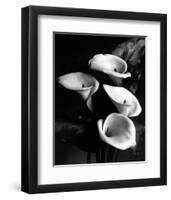 Four Lilies-null-Framed Premium Giclee Print