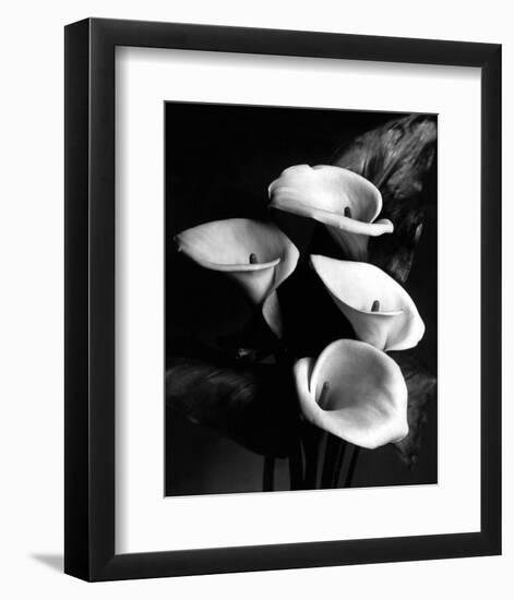 Four Lilies-null-Framed Premium Giclee Print