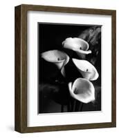 Four Lilies-null-Framed Premium Giclee Print