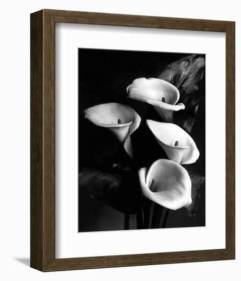 Four Lilies-null-Framed Premium Giclee Print