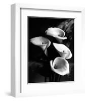 Four Lilies-null-Framed Premium Giclee Print