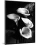 Four Lilies-null-Mounted Premium Giclee Print