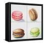 Four Macaroons-Jennifer Redstreake Geary-Framed Stretched Canvas