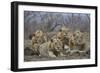 Four male Lion (Panthera leo), Kruger National Park, South Africa, Africa-James Hager-Framed Photographic Print