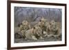 Four male Lion (Panthera leo), Kruger National Park, South Africa, Africa-James Hager-Framed Photographic Print