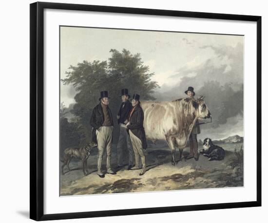 Four Men With A Bull-Richard Ansdell-Framed Premium Giclee Print