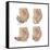 Four Methods of Female Contraception-null-Framed Stretched Canvas