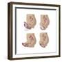 Four Methods of Female Contraception-null-Framed Premium Giclee Print