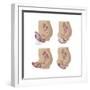 Four Methods of Female Contraception-null-Framed Premium Giclee Print