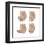 Four Methods of Female Contraception-null-Framed Art Print