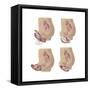 Four Methods of Female Contraception-null-Framed Stretched Canvas