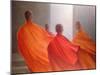 Four Monks on Temple Steps-Lincoln Seligman-Mounted Premium Giclee Print