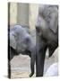 Four Month Old Elephant and Her Mother are Pictured in Hagenbeck's Zoo in Hamburg, Northern Germany-null-Stretched Canvas