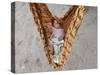 Four-Month-Old Rianto Sleeps in a Batik Cloth Swing, at a Refugee Camp in Lamreh, Indonesia-null-Stretched Canvas