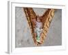 Four-Month-Old Rianto Sleeps in a Batik Cloth Swing, at a Refugee Camp in Lamreh, Indonesia-null-Framed Photographic Print