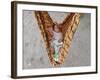 Four-Month-Old Rianto Sleeps in a Batik Cloth Swing, at a Refugee Camp in Lamreh, Indonesia-null-Framed Photographic Print