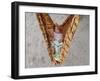 Four-Month-Old Rianto Sleeps in a Batik Cloth Swing, at a Refugee Camp in Lamreh, Indonesia-null-Framed Photographic Print