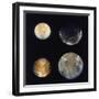 Four Moons of Jupiter, Io, Europa, Ganymede and Callisto, 1979-null-Framed Giclee Print