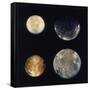 Four Moons of Jupiter, Io, Europa, Ganymede and Callisto, 1979-null-Framed Stretched Canvas