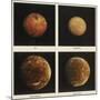 Four Moons of Jupiter. Io, Europa, Ganymede and Callisto, 1979-null-Mounted Giclee Print